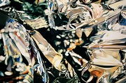 RB1 (180 pixels)